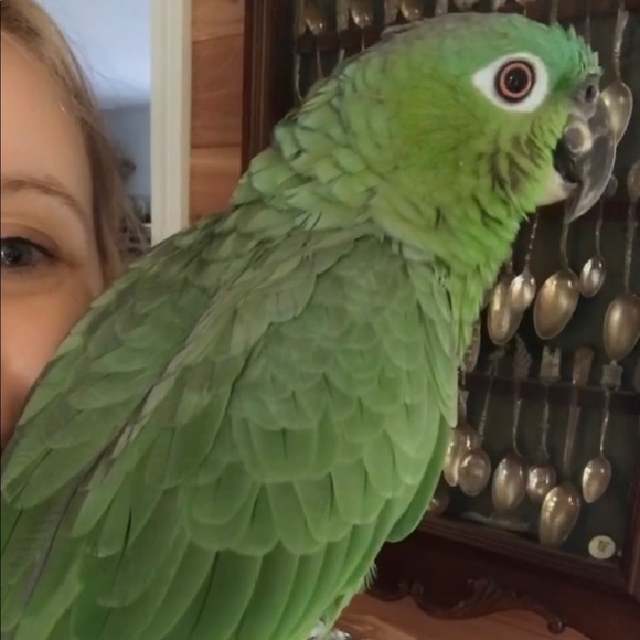 Meet your Posher, R.R.Lee! - Picture 6 of 6